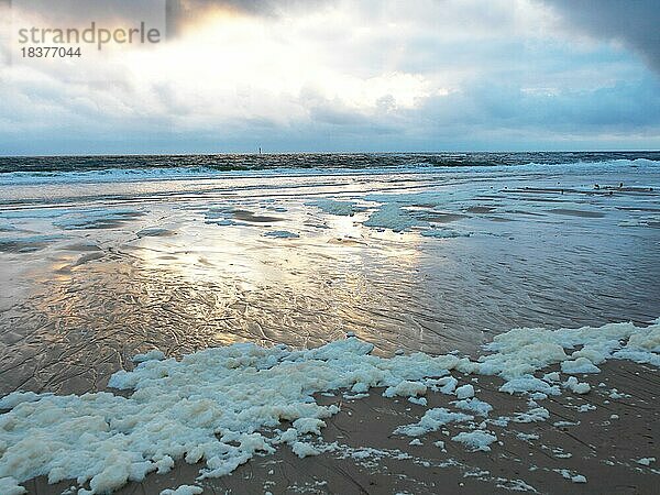 Schaumflocken  Meerwasser  Strand  Sylt  Insel  Nordsee  Schleswig-Holstein  Deutschland  Europa