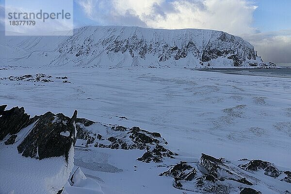 Berge und Strand nahe Kongsfjord  Winter  Schnee  Varangerhalbinsel  Finnmark  Nordnorwegen  Norwegen  Europa