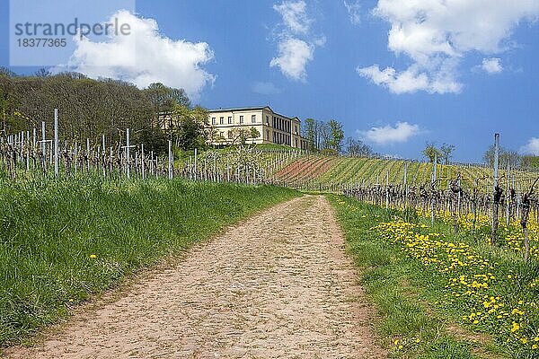 Schloss Villa Ludwigshöhe  die ehemalige Sommerrezidenz des bayerischen Königs Ludwig I.  oberhalb von Edenkoben in der Südpfalz  Pfalz  Rheinland-Pfalz  Deutschland  Europa