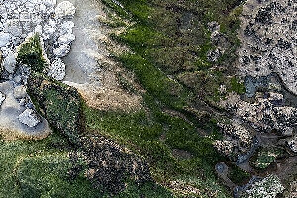 Luftaufnahme  bunte Steine und Algen an der Küste  Praia do Porto Barril  Charneca  Portugal  Europa