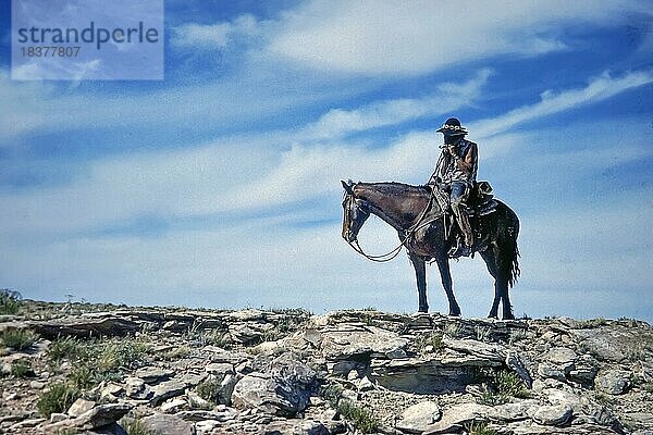 Cowboy und Guide  braunes Pferd  Wüstenregion nahe Monument Valley  Arizona  USA  Nordamerika