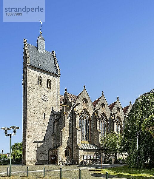 Katholische Kirche St. Marien  Bad Laer  Niedersachsen  Deutschland  Europa