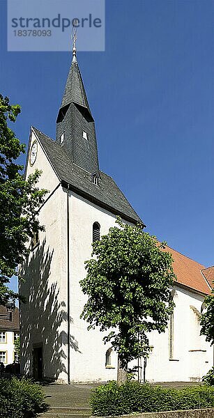 Evangelische Pfarrkirche  Borgholzhausen  Münsterland  Nordrhein-Westfalen  Deutschland  Europa
