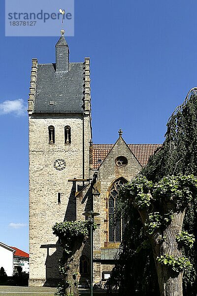 Katholische Kirche St. Marien  Bad Laer  Niedersachsen  Deutschland  Europa