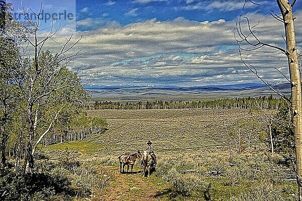 Cowboy mit Pack-Maultier  Box-R-Ranch  bergiges Waldgebiet  Wyoming  USA  Nordamerika