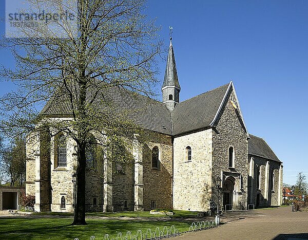 Stiftskirche St. Felicitas  ehemaliges Vredener Damenstift  Vreden  Münsterland  Nordrhein-Westfalen  Deutschland  Europa