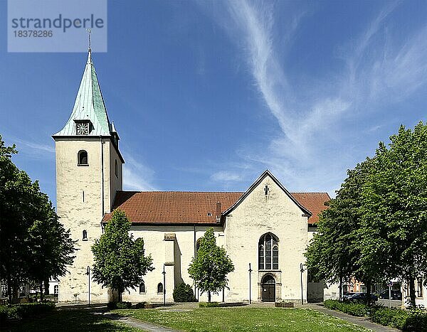 Evangelische Pfarrkirche St. Mauritius  Dissen am Teutoburger Wald  Niedersachsen  Deutschland  Europa