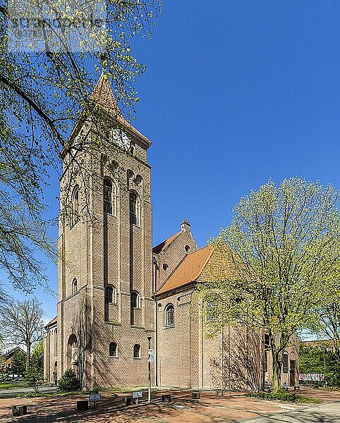 Katholische Pfarrkirche St. Jakobus  Oeding  Südlohn  Münsterland  Nordrhein-Westfalen  Deutschland  Europa