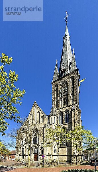 Katholische Pfarrkirche St. Pankratius  Gescher  Münsterland  Nordrhein-Westfalen  Deutschland  Europa
