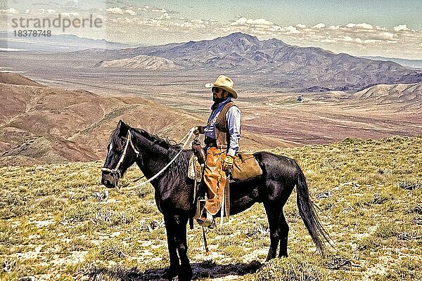 Cowboy mit Chaps  schwarzes Pferd  Ranch im Berggelände  bei Golconda  Nord-Nevada  USA  Nordamerika