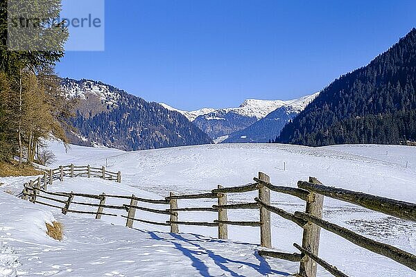 Aussicht nach Norden Richtung Nauders  Winterwanderweg zur Reschenalm  Reschen am Reschenpass im Winter  Südtirol  Italien  Europa