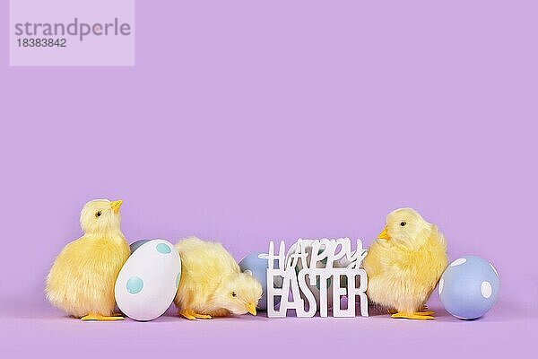 Pastellfarbene Ostereier  Huhn und Text Frohe Ostern auf violettem Hintergrund mit Kopierraum