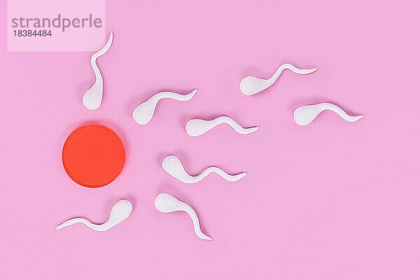 Abstrakte Spermien schwimmen in Richtung Eizelle auf rosa Hintergrund