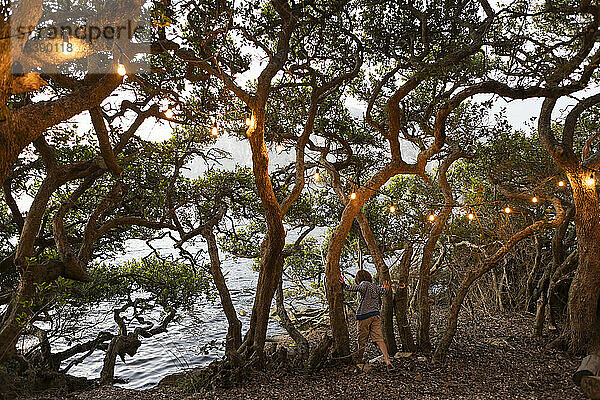 kleiner Junge blickt auf die Lagune inmitten beleuchteter Bäume Stanford Südafrika