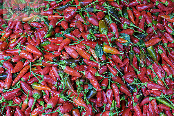 Fes Marokko Rote scharfe Chilis zum Verkauf auf dem Markt