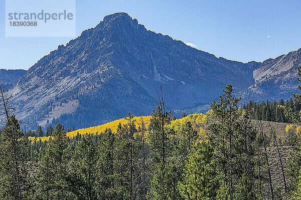 Herbst in den Bergen in der Nähe von Sun Valley Idaho