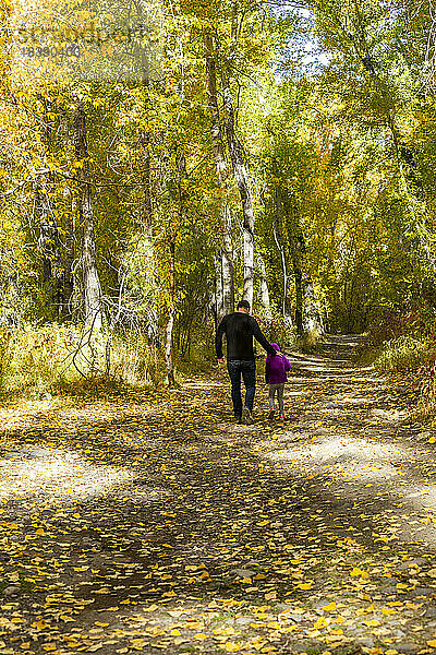 Vater und Tochter gehen durch den Herbst im Wald in der Nähe von Sun Valley  Idaho