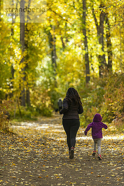 Mutter und Tochter laufen im Herbst durch den Wald in der Nähe von Sun Valley Idaho