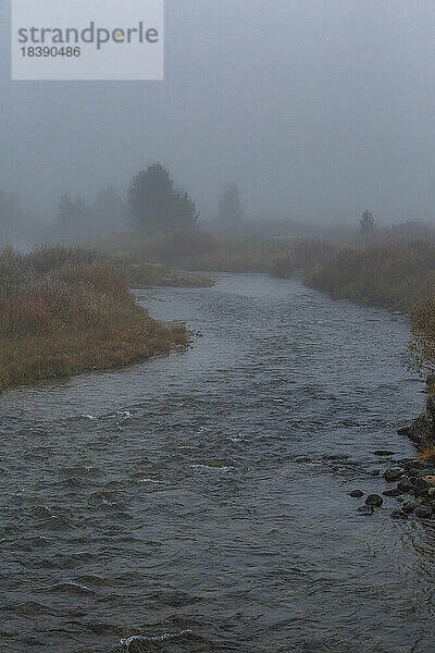 Bach fließt durch die Wiese an einem nebligen Morgen in der Nähe von Sun Valley Idaho