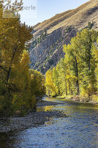 Big Wood River im Herbst in der Nähe von Sun Valley Idaho