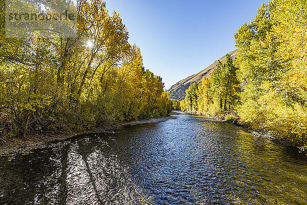 Big Wood River im Herbst in der Nähe von Sun Valley Idaho