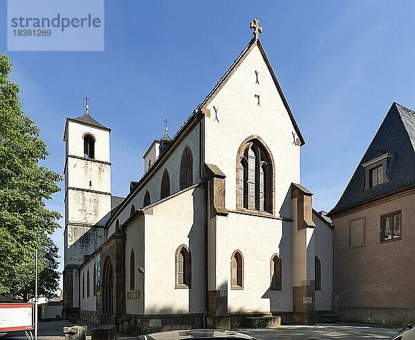 Andreasstift  ehemalige Klosteranlage mit Klosterkirche  heute Stadtmuseum  Worms  Rheinland-Pfalz  Deutschland  Europa