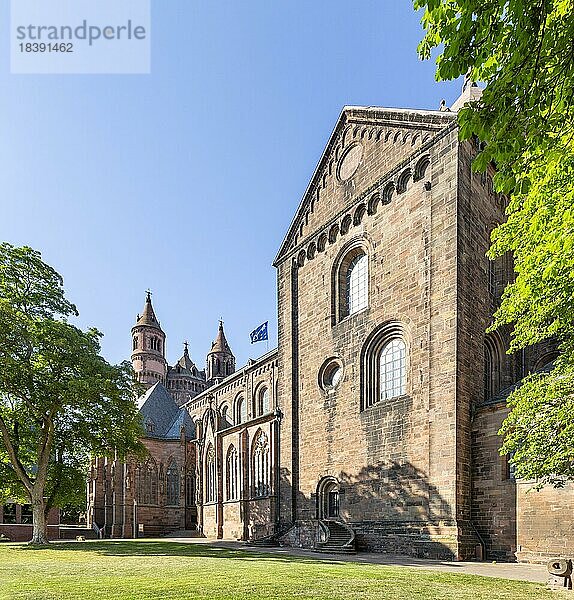 Katholischer Dom St. Peter  Worms  Rheinland-Pfalz  Deutschland  Europa