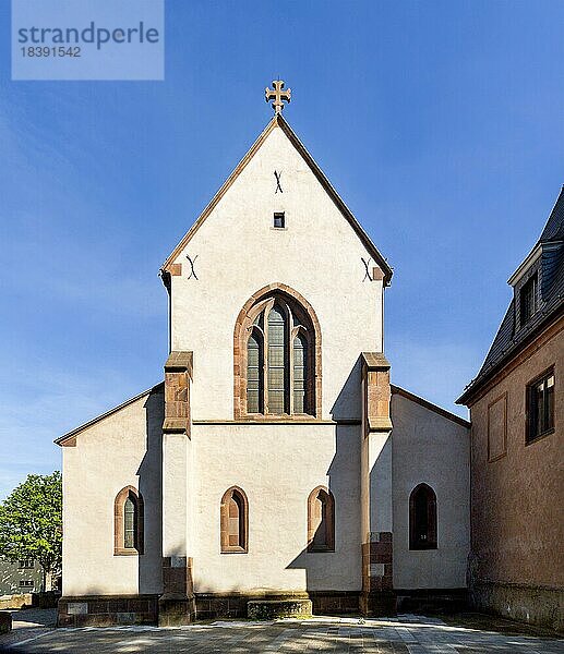 Andreasstift  ehemalige Klosteranlage mit Klosterkirche  heute Stadtmuseum  Worms  Rheinland-Pfalz  Deutschland  Europa