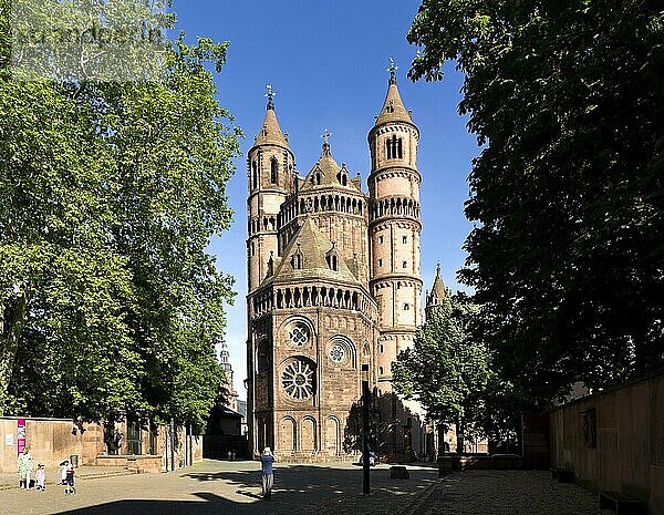 Katholischer Dom St. Peter  Worms  Rheinland-Pfalz  Deutschland  Europa