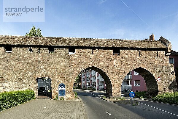 Nibelungen-Museum  stauferzeitliche Stadtmauer mit Wehrtürmen und Ausstellungsräumen  Worms  Rheinland-Pfalz  Deutschland  Europa