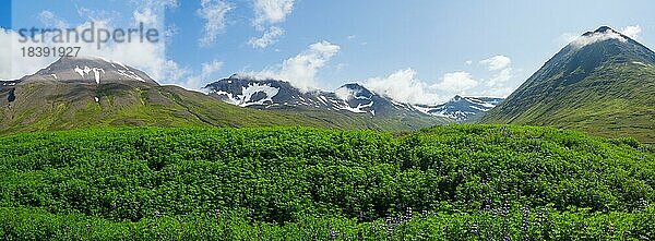 Grüne Landschaft und schneebedeckte Berge  bei Siglufjörður  Norðurland eystra  Island  Europa