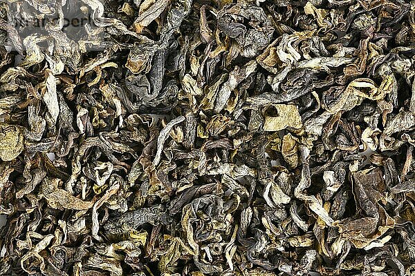 Nahaufnahme der Blätter des chinesischen Jin Xiang Oolong Tees