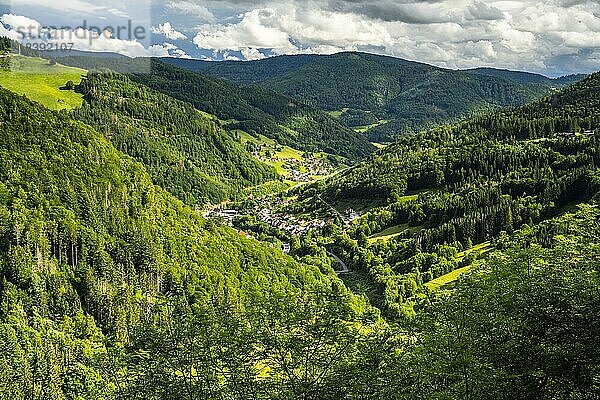 Blick auf Todtnau  umgeben von Wiesen und Wäldern  bei Sonnenschein  Schwarzwald  Baden-Württemberg  Deutschland  Europa