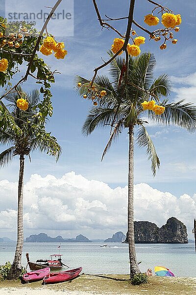 Palmen und Kanus am Sandstrand  hinten ein Karstfelsen  Koh Mook  Andamanensee  Südthailand  Thailand  Asien
