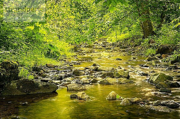 Wald  ein Bach mit Steinen und etwas Sonnenlicht  Langzeitbelichtung  Lotenbachklamm  Schwarzwald  Baden-Württemberg  Deutschland  Europa