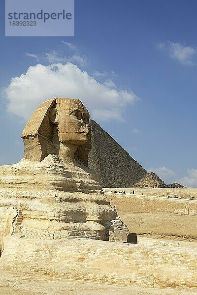 Grosse Sphinx  rechts eine Pyramide  Gizeh  Kairo  Ägypten  Afrika