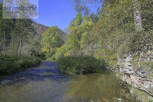 Felsen und Fluss in der Raabklamm  Arzberg  Steiermark  Österreich  Europa