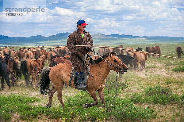 Nomadenreiter. Provinz Mongolei Bulgan  Mongolei  Asien