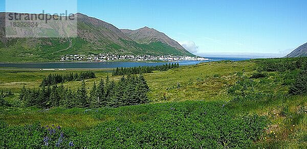 Blauer Himmel über Fjord  Siglufjörður  Nordisland  Island  Europa