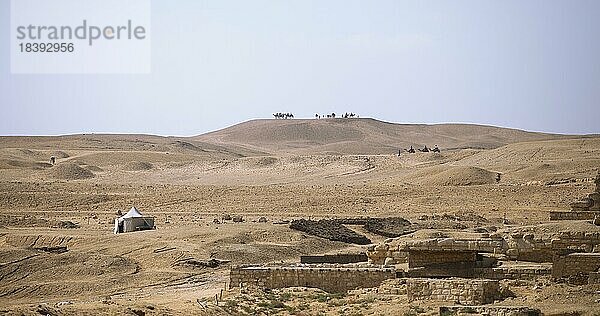 Kamelreiten in der Wüste  Gizeh  Kairo  Ägypten  Afrika