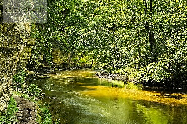 Der Fluss Wutach  ein Wanderweg  Wald und etwas Sonne  Steine und Fels  Langzeitbelichtung  Wutachschlucht (Wutach Gorge)  Schwarzwald  Baden-Württemberg  Deutschland  Europa