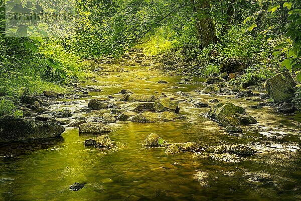 Wald  ein Bach mit Steinen und etwas Sonnenlicht  Langzeitbelichtung  Lotenbachklamm  Schwarzwald  Baden-Württemberg  Deutschland  Europa
