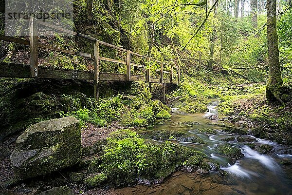 Wald  ein Bach mit Moos und Steinen  ein Wanderweg und ein Holzsteg  Langzeitbelichtung  Lotenbachklamm  Schwarzwald  Baden-Württemberg  Deutschland  Europa