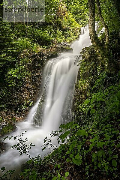 Der Stübenbach und ein Teil des Todtnauer Wasserfalls im Wald  Schwarzwald  Baden-Württemberg  Deutschland  Europa