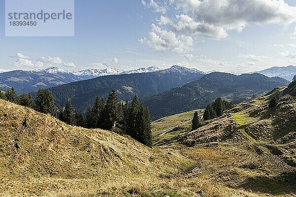 Alpbachtal  Kitzbüheler Alpen  Bezirk Kufstein  Tirol  Österreich  Europa