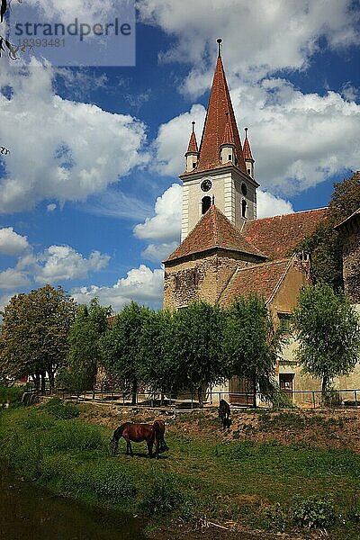 Kirchenburg Großau  erbaut 1498. Cristian  dt. Großau oder Grossau  sächsisch: Grißau  ist eine Ortschaft in Siebenbürgen  Rumänien  Europa