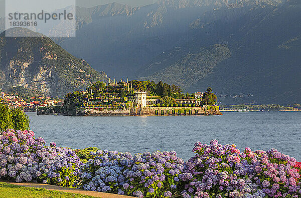 Blick von der Promenade von Stresa auf die Isola Bella  Borromäische Inseln  Lago Maggiore  Piemont  Italienische Seen  Italien  Europa