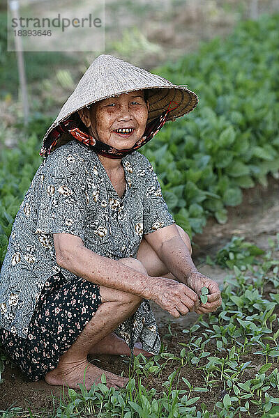 Bauer bei der Arbeit  Landwirtschaft  organische Gemüsegärten im Dorf Tra Que  Hoi An  Vietnam  Indochina  Südostasien  Asien
