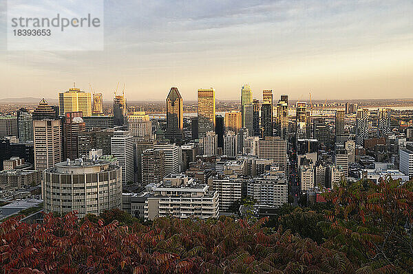 Blick auf die Skyline von Montreal vom Mont Royal Park im Herbst bei Sonnenuntergang  Montreal  Quebec  Kanada  Nordamerika