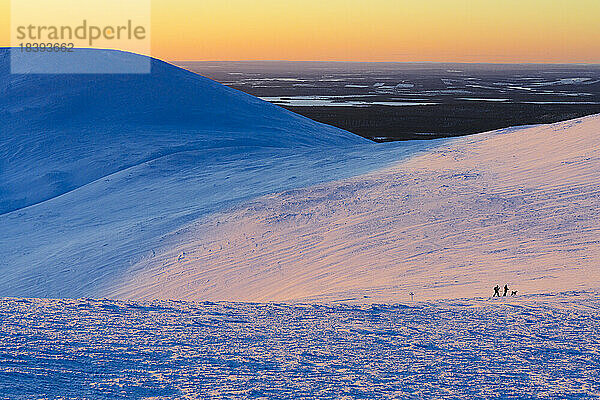 Zwei Wanderer und Hund beim Schneeschuhwandern in verschneiter Landschaft bei Sonnenuntergang  Pallas-Yllastunturi-Nationalpark  Muonio  Lappland  Finnland  Europa